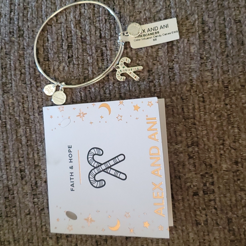 Alex And Ani Bracelet